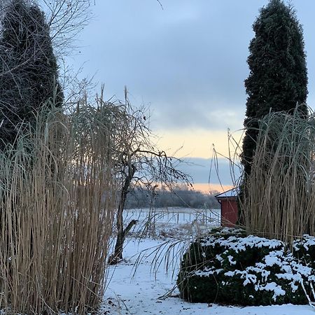 Villa Maria Garden Cottages, Helsingborg Esterno foto