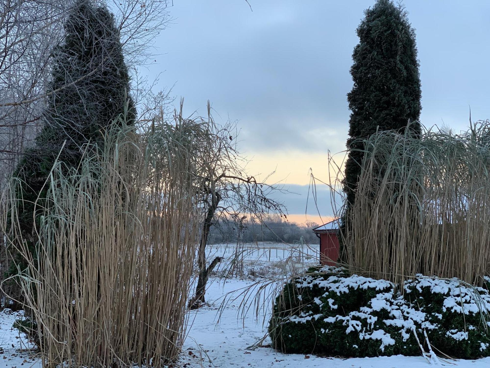 Villa Maria Garden Cottages, Helsingborg Esterno foto