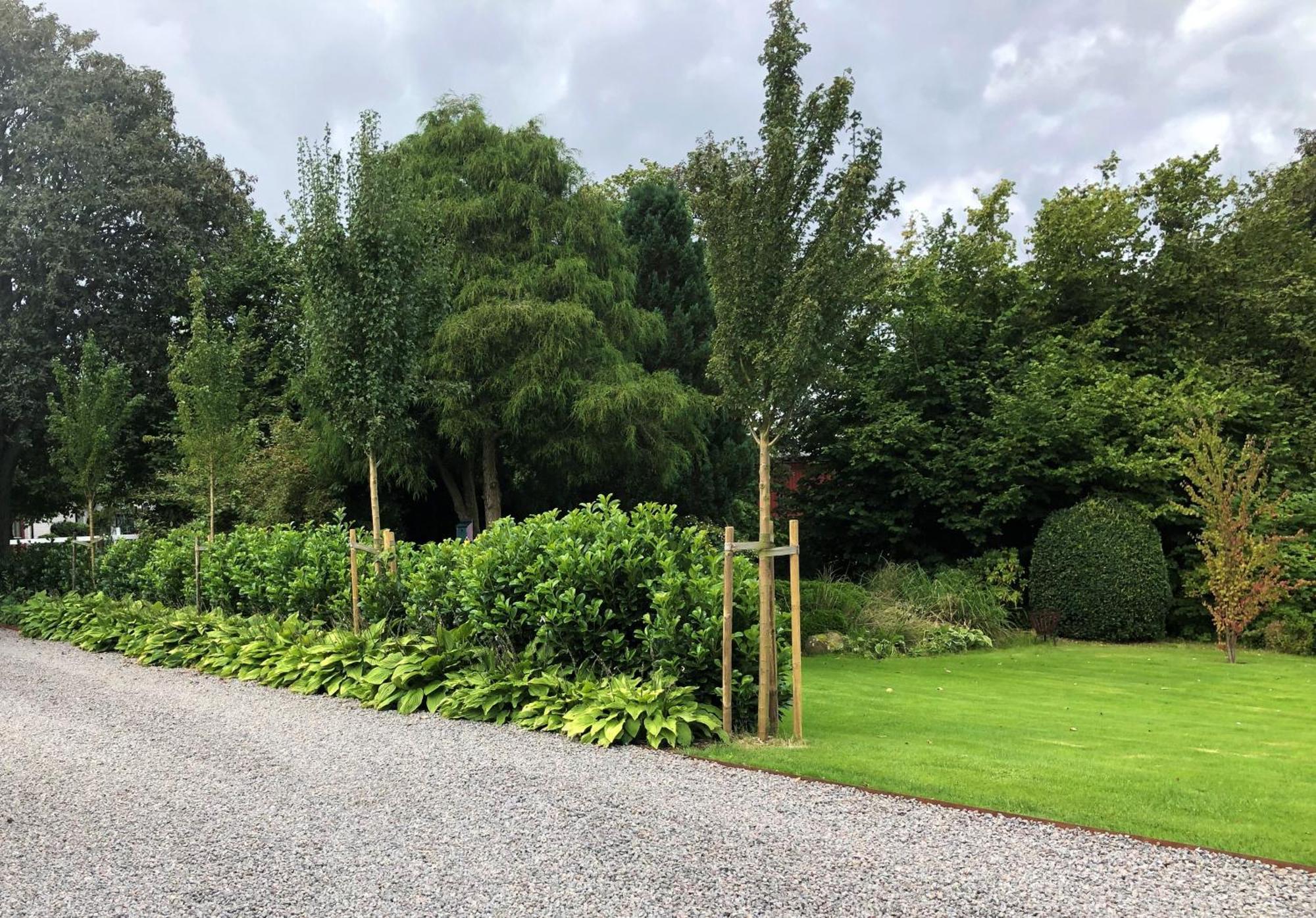 Villa Maria Garden Cottages, Helsingborg Esterno foto