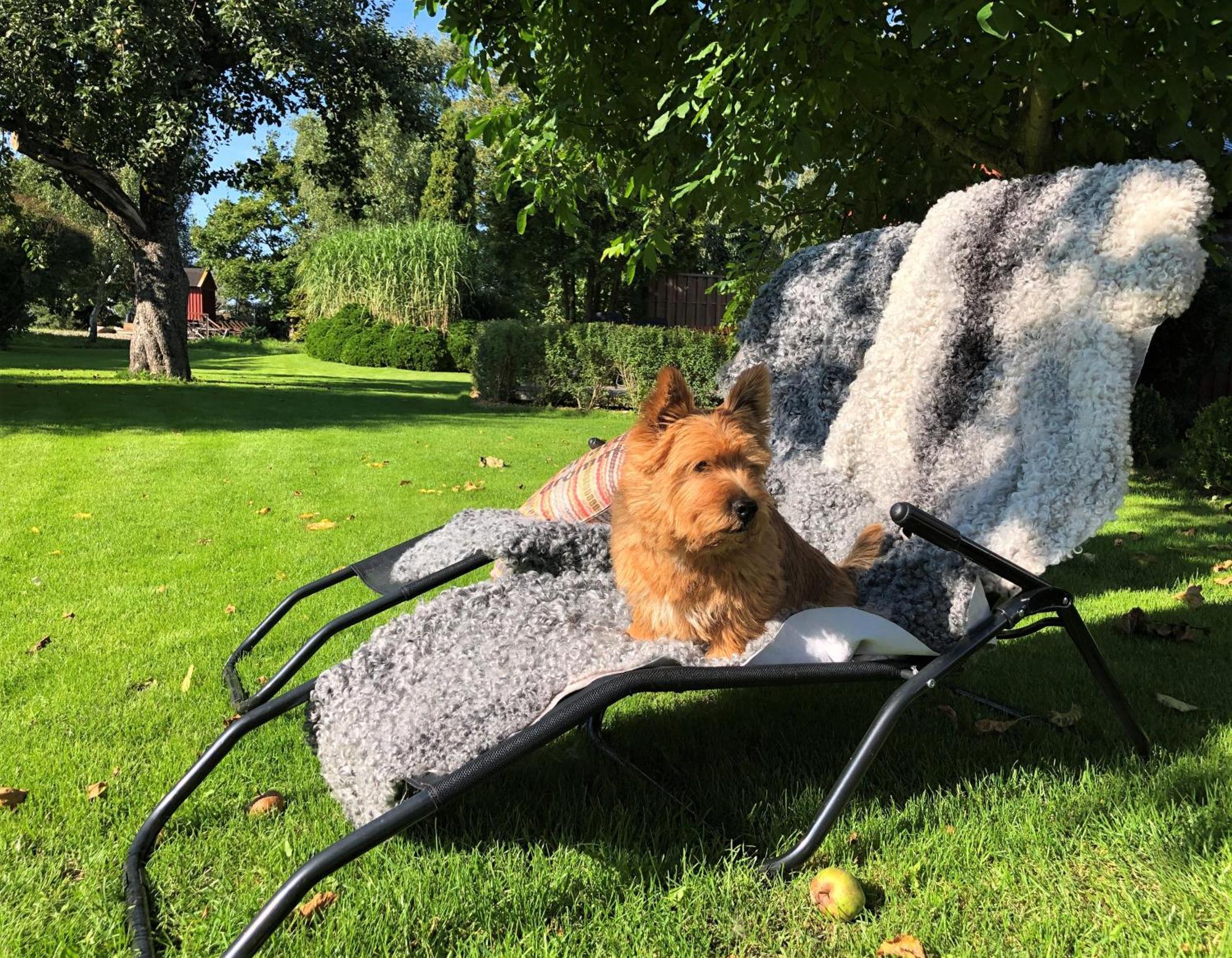 Villa Maria Garden Cottages, Helsingborg Esterno foto