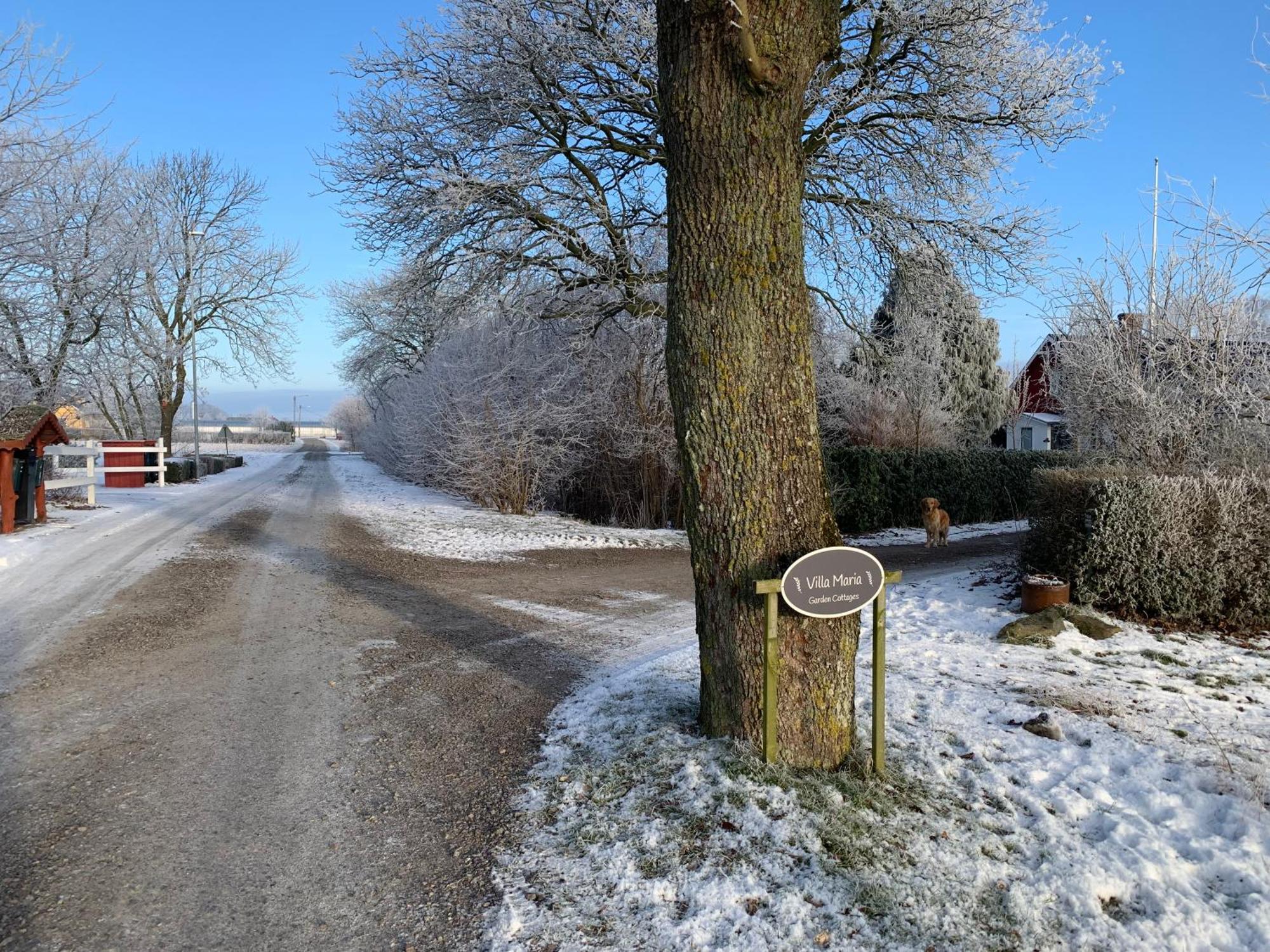 Villa Maria Garden Cottages, Helsingborg Esterno foto